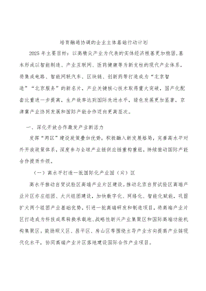 培育融通协调的企业主体基础行动计划.docx