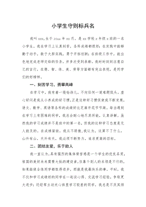 小学生守则标兵名.docx