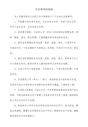 安全事项承诺函.docx