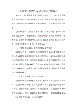 小学思政教师国培研修心得体会.docx