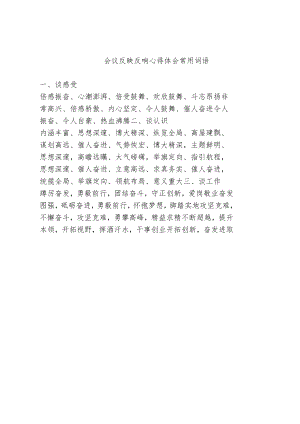 会议反映反响 心得体会常用词语.docx