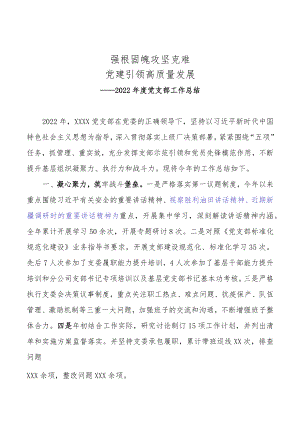 2022年度党支部工作总结.docx