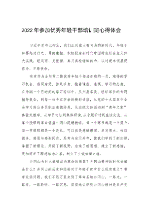2022年参加优秀年轻干部培训班心得体会五篇.docx