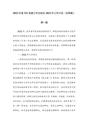 2022年度XX党建工作总结及2023年工作计划（共两篇）.docx