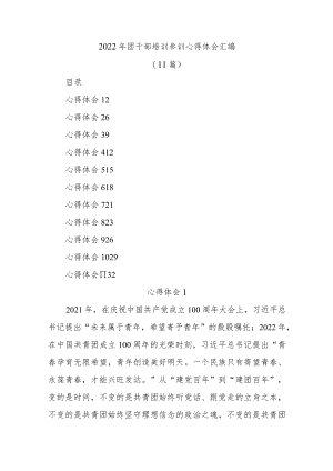 (11篇)2022年团干部培训参训心得体会汇编.docx