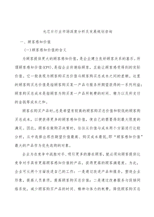 光芯片行业市场深度分析及发展规划咨询.docx