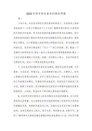 2022年党支部自查自纠报告两篇.docx