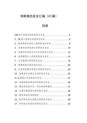 供职表态发言汇编（45篇）.docx
