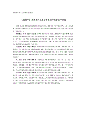 20221027乡镇领导班子运行情况调研报告.docx