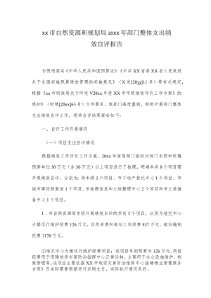 xx市自然资源和规划局20xx年部门整体支出绩效自评报告.docx