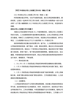 2022年初创公司人力资源工作计划（精选12篇）.docx