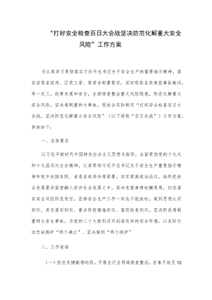 “打好安全检查百日大会战坚决防范化解重大安全风险”工作方案.docx