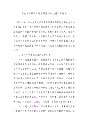 党史学习教育专题组织生活会检视剖析材料.docx