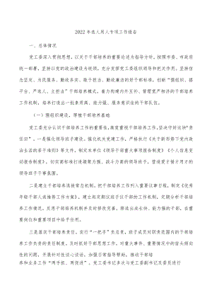 2022年选人用人专项工作报告.docx