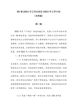 XX镇2022年工作总结及2023年工作计划.docx