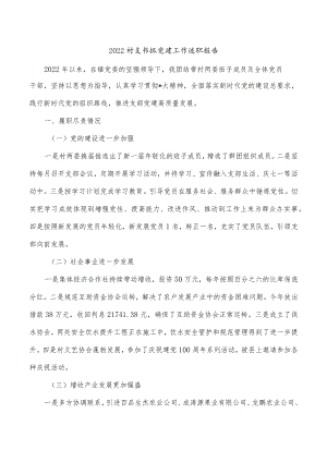 2022村支书抓党建工作述职报告.docx