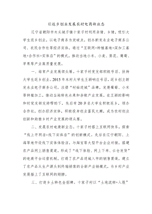 乡村振兴经验材料：引返乡创业发展农村电商新业态.docx