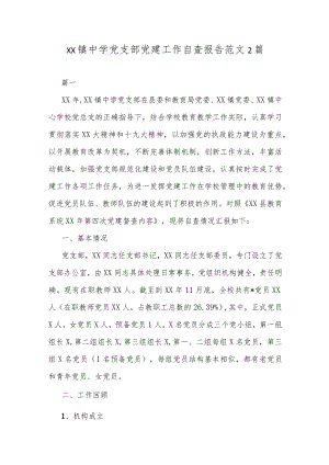 xx镇中学党支部党建工作自查报告范文2篇.docx