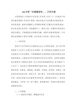 xxx大学“支部建设年”工作方案.docx