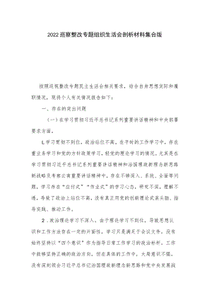 2022巡察整改专题组织生活会剖析材料集合版.docx