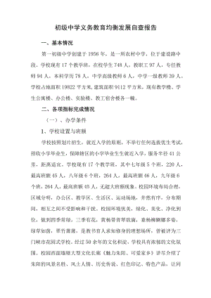 2022年初级中学义务教育均衡发展自查报告.docx