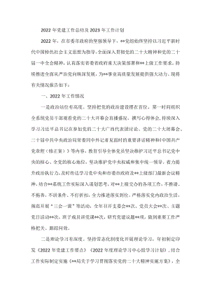 2022年党建工作总结及2023年工作计划.docx