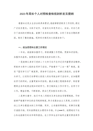 2023年局长个人对照检查检视剖析发言提纲.docx
