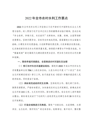 2022年全市农村水利工作要点.docx