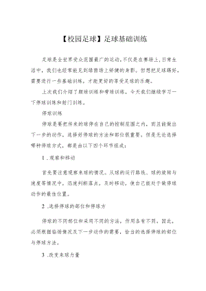 【校园足球】足球基础训练.docx