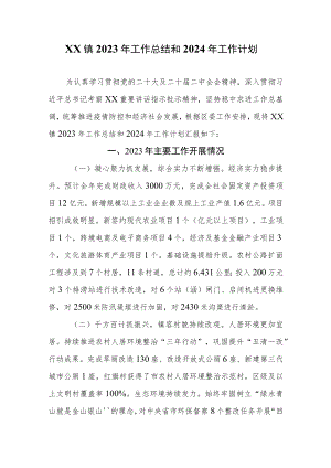 XX镇2023年工作总结和2024年工作计划.docx