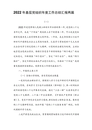 2022年基层党组织年度工作总结汇报两篇.docx