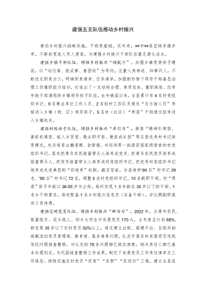 【经验总结】建强五支队伍 推动乡村振兴.docx