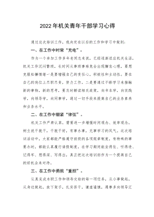 2022年机关青年干部学习心得.docx
