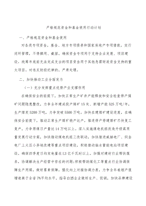 严格规范资金和基金使用行动计划.docx