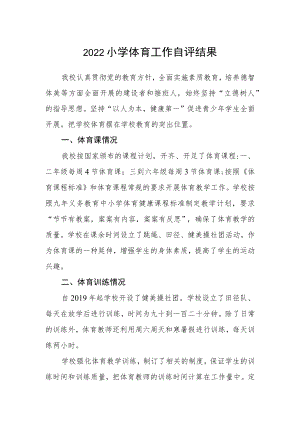 2022小学体育工作自评结果.docx