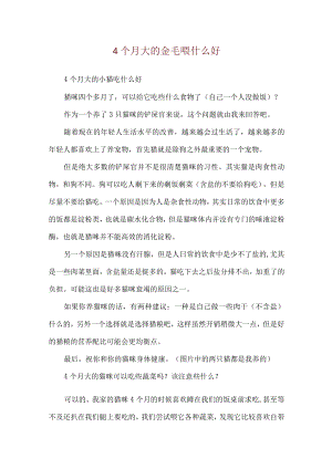 4个月大的金毛喂什么好.docx