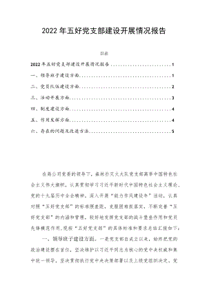 2022年五好党支部建设开展情况报告.docx