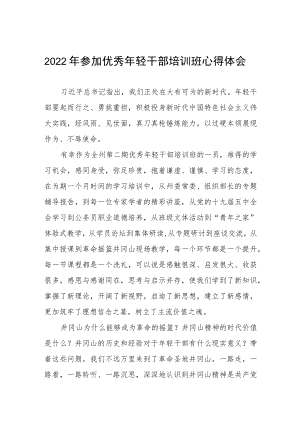 2022年参加优秀年轻干部培训班心得体会九篇汇编.docx