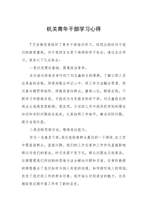 2022年年轻干部学习心得体会五篇合辑.docx