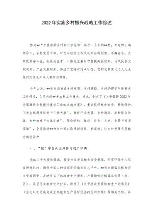 2022年实施乡村振兴战略工作综述.docx