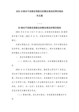 2022乡镇关于巡察反馈意见的整改落实的情况报告共五篇.docx