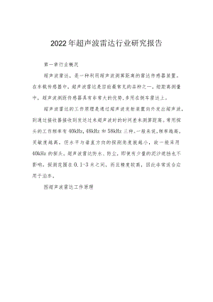 2022年超声波雷达行业研究报告.docx