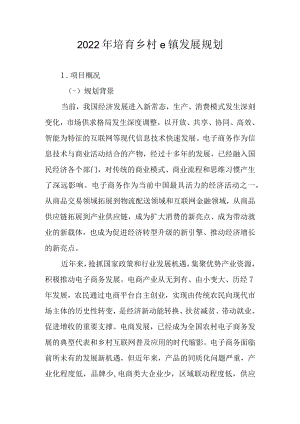 2022年培育乡村e镇发展规划.docx