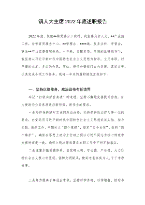 乡镇人大主席2022年底述职报告.docx