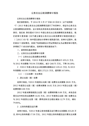 公务支出公款消费审计报告.docx
