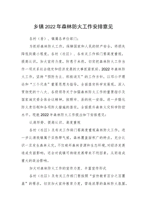乡镇2022年森林防火工作安排意见.docx