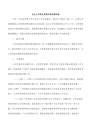 企业公司特色党建品牌创建经验.docx