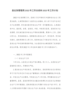 2022年县应急管理局工作总结和2023年工作计划.docx