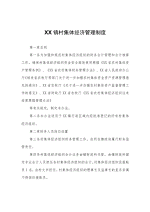 XX镇村集体经济管理制度.docx