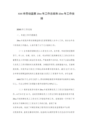 xxx市劳动监察20xx年工作总结和20xx年工作安排.docx